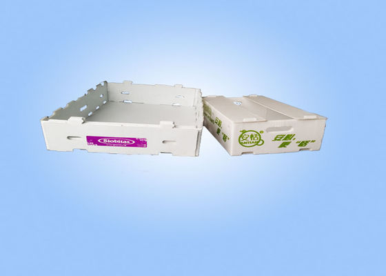 Cajas de almacenamiento plásticas acanaladas reciclables de Corflute de las cajas de almacenamiento